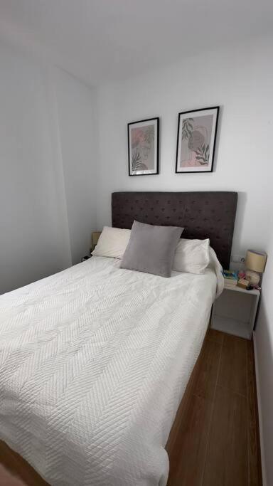 Rockside Residentes La Linea Apartment